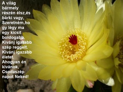 a világ bármely részén vagy