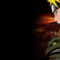 Naruto - The Last Battle