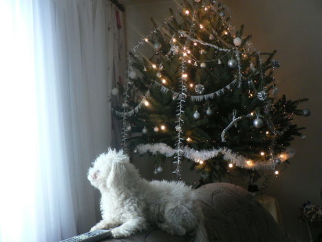 őrzőm a birodalmam