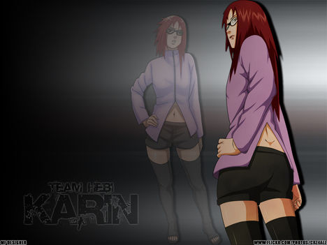 Team HEBI - Karin v1