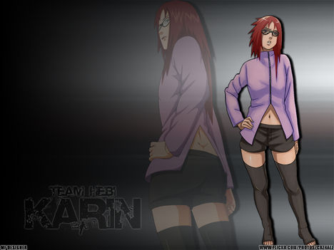 Team HEBI - Karin v2