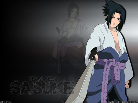 Team HEBI - Sasuke v1