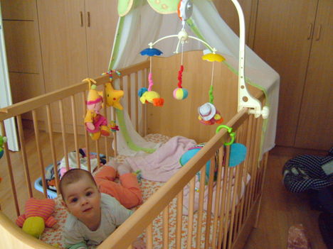 DSCF3753