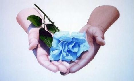 bluerose2