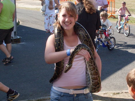 Imádom a kígyókat és ők is engem :-)