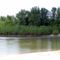 Tisza