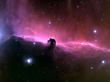 NASA The Horsehead Nebula