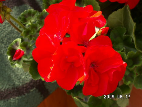 PICT0819