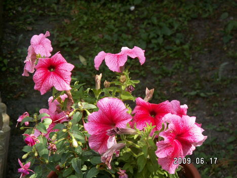 PICT0820