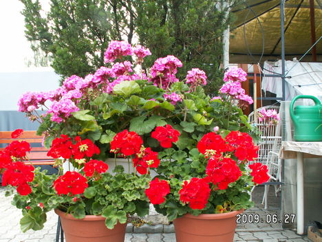 PICT0835