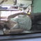 DSC00279