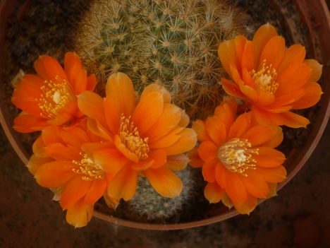 P1020276