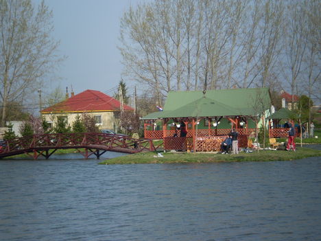 pixeks 049