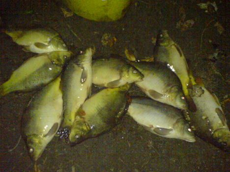 ponty hegyek