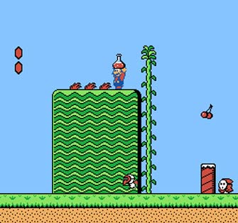 super-mario-bros-2-nes-potion