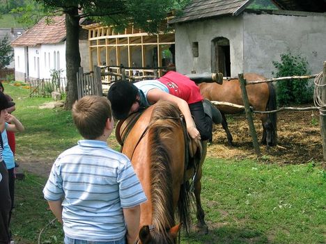 Felülök, ha beleszakadok is! :)