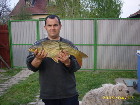 A nagy hohó:):)
