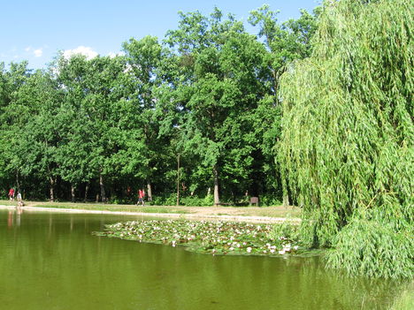 Békás tó, Debrecen