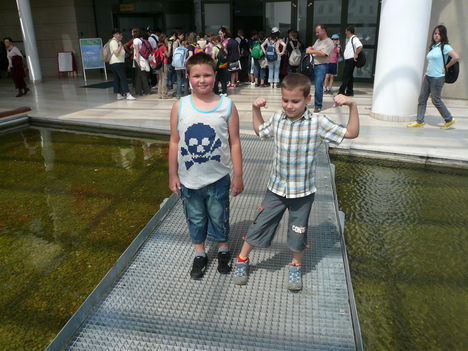 Domi-Nicó