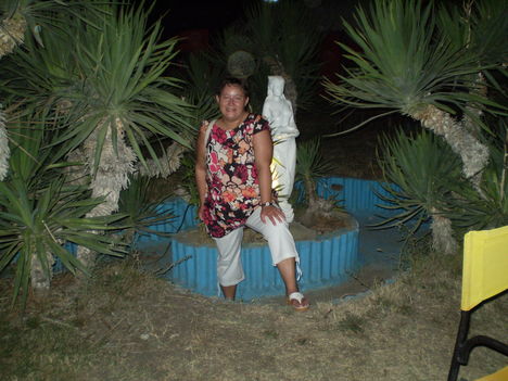 Paralia 2008