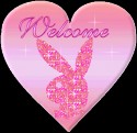welcom