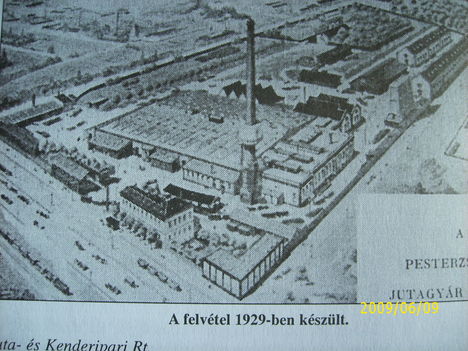 DSCI0826