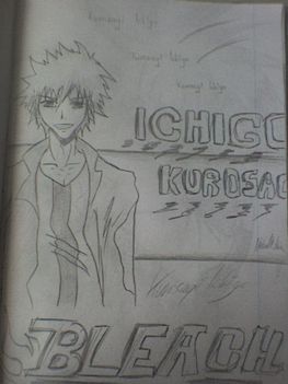 ichigo2