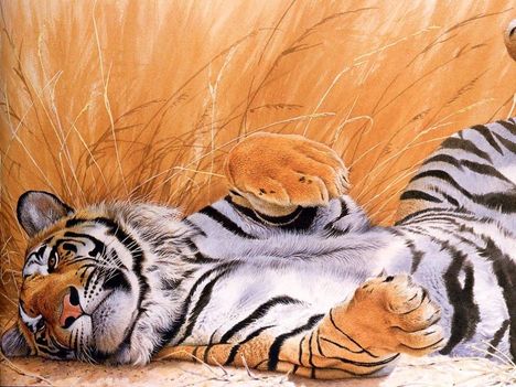 Aranyos tigris