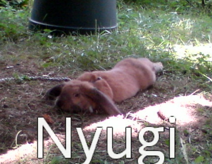 Nyugi