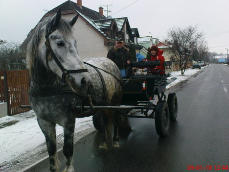 Séta kocsikázás