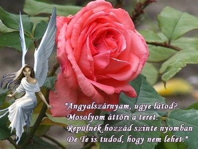 angygróza