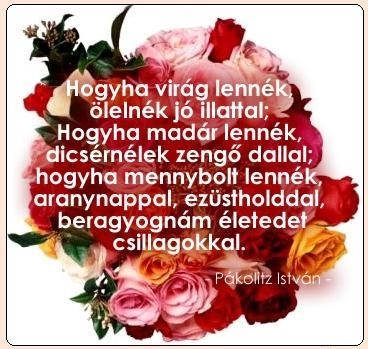 beragyognám