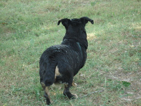 DSC00820