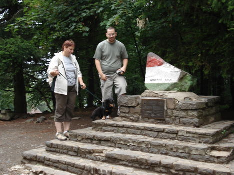 DSC00985