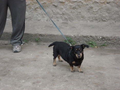 DSC01683