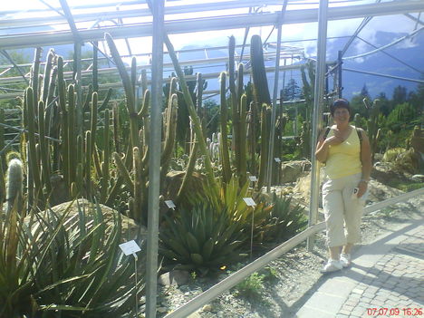 DSC01098
