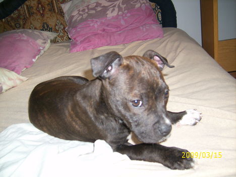 Jenny