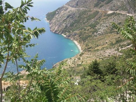 kedvenceim 6