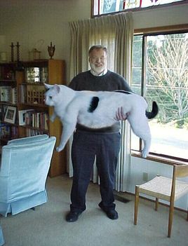 giantpussy
