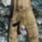 NATURALE-6