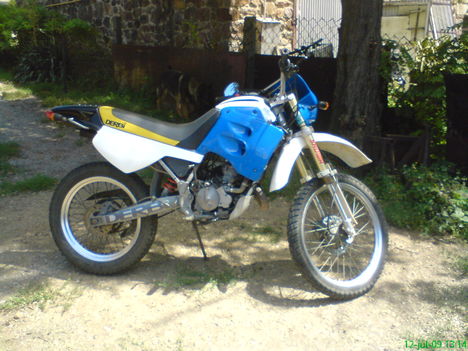 Derbim