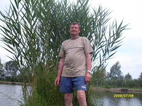 Papi a tónál