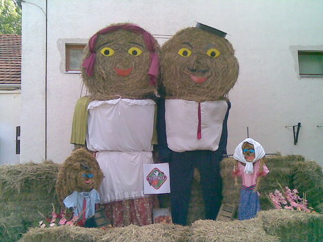 BF2009 8
