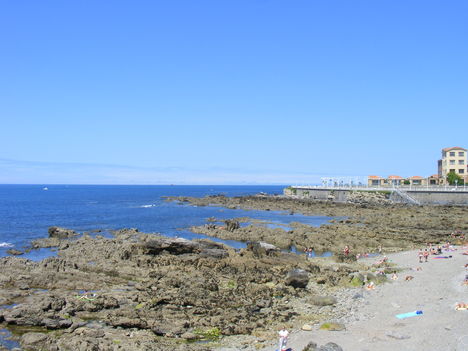 DSCF6392