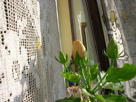 DSCN1134