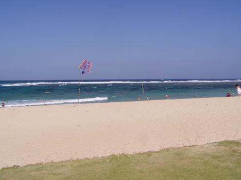 P1010271