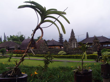 P1010331