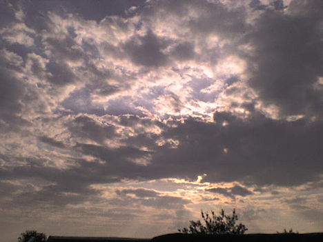 by me 3