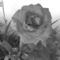 by me 8