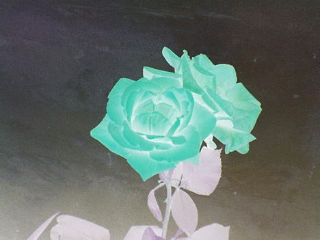 by me 9